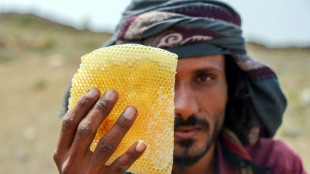 Yemen's ancient honey production a victim of war, climate change