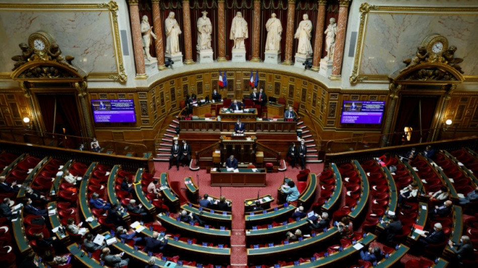 Pouvoir d'achat: au tour du Sénat, après les prolongations jouées par les députés