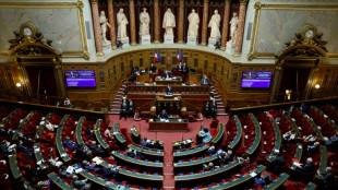 Pouvoir d'achat: la revalorisation du RSA enflamme les débats au Sénat