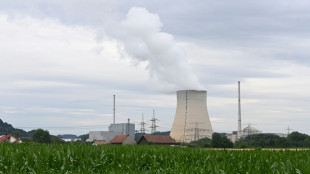 Viele Mittelständler fordern Laufzeitverlängerung der Atomkraftwerke