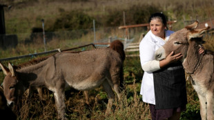 Norvège: l'énorme fonds souverain demande aux entreprises de respecter le bien-être animal