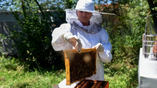 En Macédoine du Nord, les apiculteurs s'organisent face au réchauffement climatique et aux maladies