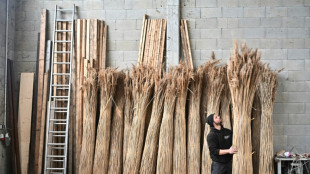 Heed the reed: thatcher scientist on mission to revive craft