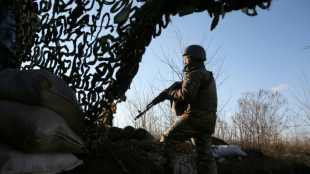 USA rufen in Ukraine-Konflikt den UN-Sicherheitsrat an