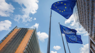 Nel secondo trimestre Pil eurozona e Ue cresce dello 0,3%