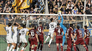 Doppietta di Pellegrino, Parma-Torino finisce 2-2