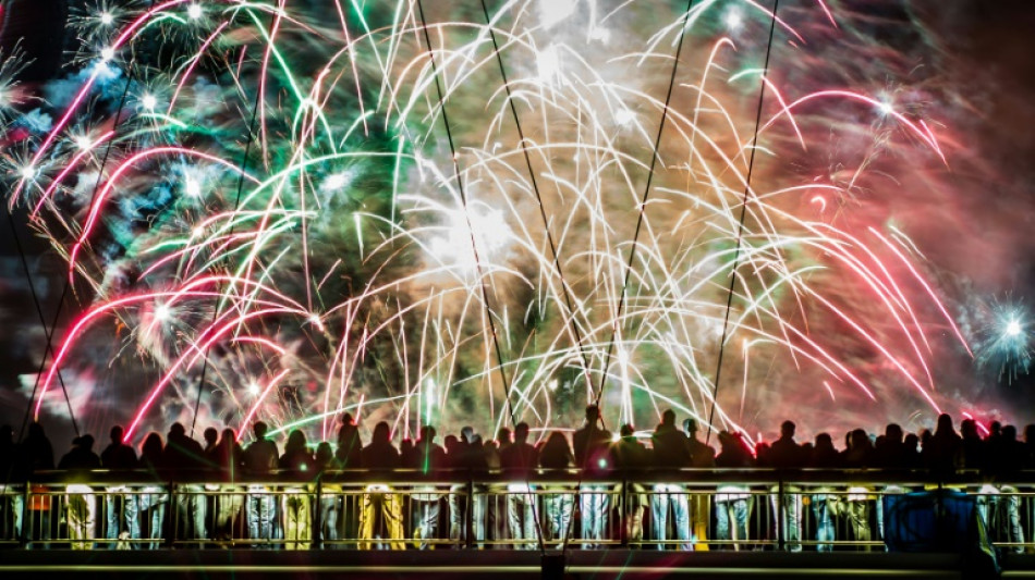 Bundesverband Pyrotechnik mahnt zu rücksichtsvollem Umgang mit Feuerwerk