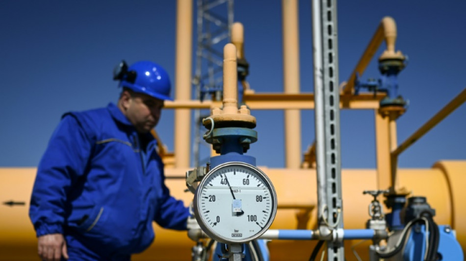 Bulgaria industry on tenterhooks after Russia gas cut