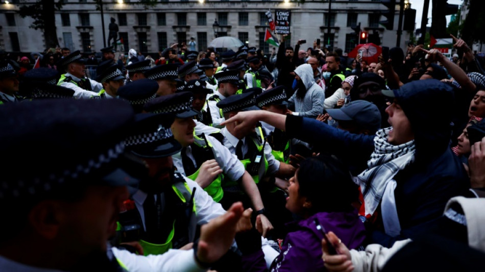40 Festnahmen bei pro-palästinensischer Kundgebung in London