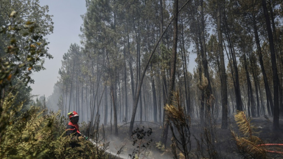 Canicule: vers de records de chaleur en France et en Grande-Bretagne