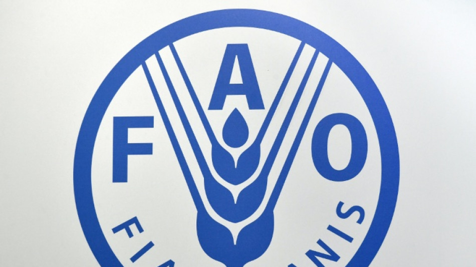 Nicaragua anuncia su retiro de la FAO y exige cierre "inmediato" de oficinas