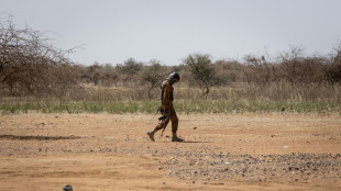 Al menos 13 soldados muertos en ataque en este de Burkina Faso