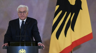 Steinmeier wirbt in Rede für gesellschaftlichen Pflichtdienst