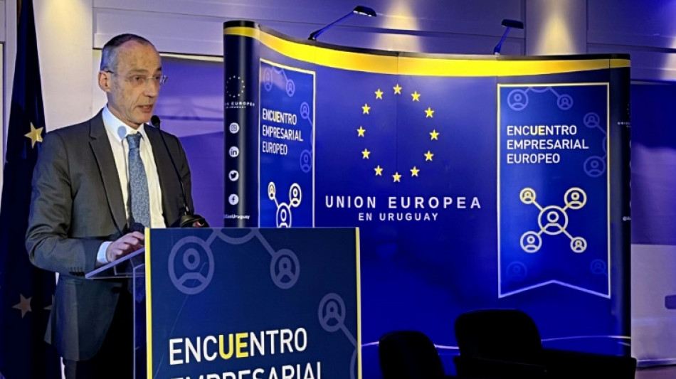 Un TLC con Mercosur es "prioridad" para Europa, asegura jefe negociador de UE