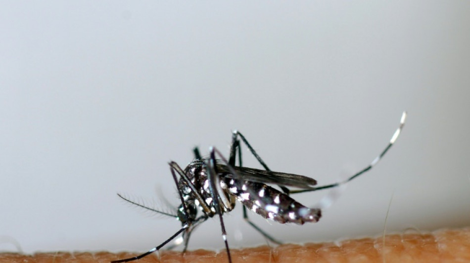 Dengue: déjà un record de cas importés en France métropolitaine, avant même les JO