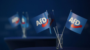 Otte will auf AfD-Kandidatur verzichten - falls Union Kandidaten aufstellt