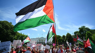 Milhares de manifestantes pró-palestinos protestam em Washington contra políticas de Biden