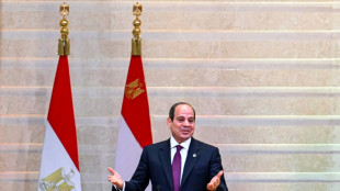 Egypt apprehensive over Islamist win in Syria