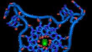 Evo, il modello di intelligenza artificiale che legge il Dna