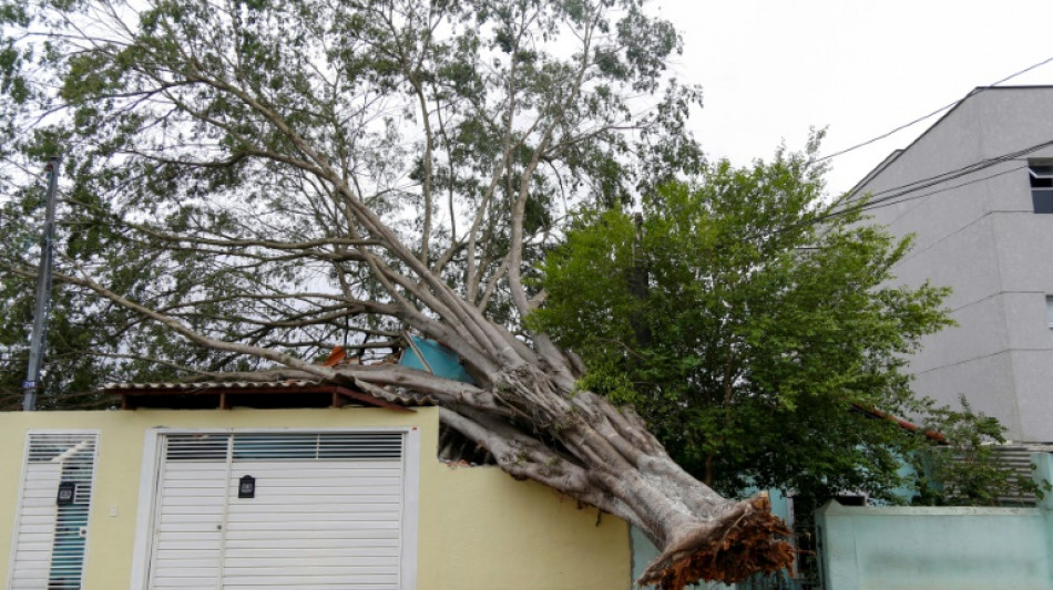 Eight dead as heavy rain thrashes Brazil after long drought