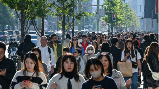 Japan govt approves record budget for ageing population, defence