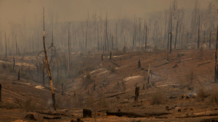 Gigantesco incendio forestal se propaga ferozmente en California