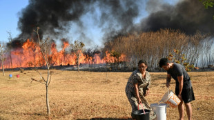 El jefe de la policía en Brasil aboga por penas más duras contra los autores de incendios