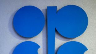 Opec rechnet bis 2045 mit steigender Nachfrage nach Öl