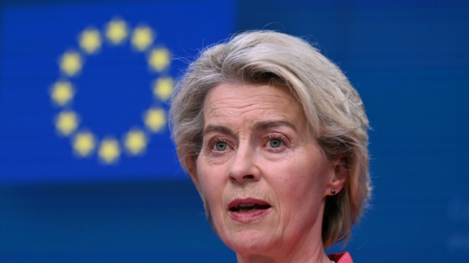 Vor Wahl im EU-Parlament: Von der Leyen für E-Fuels und Industrieförderung