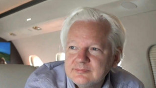 Au Conseil de l'Europe, Assange témoigne pour la première fois depuis sa libération