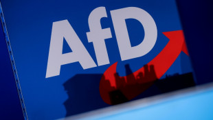 AfD Sieger der Kommunalwahl in Sachsen-Anhalt nach deutlichen Gewinnen