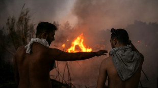 EU firefighters to join as Greece battles blaze