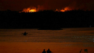 "Caótico": habitantes del Pantanal brasileño hacen frente a incendios históricos