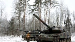 Les Tchèques approuvent un achat conjoint de chars de fabrication allemande