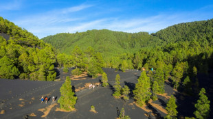 'Like a new planet': Volcano draws visitors to Spanish isle