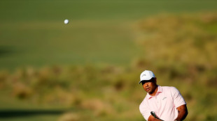 Tiger says productive PGA-Saudi talks brought endgame closer
