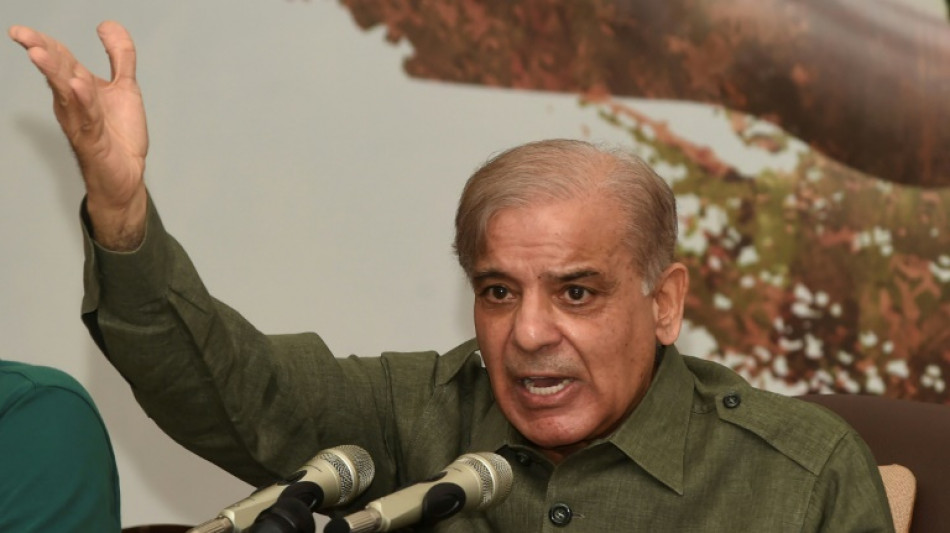 Shehbaz Sharif steps out of the shadows to lead Pakistan