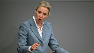 AfD-Chefin Weidel wirft Merz "finanzpolitischen Staatsstreich" vor