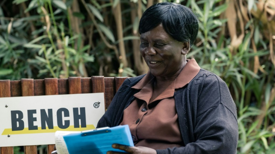 Zimbabwe's 'mental health benches' exported to the World Cup