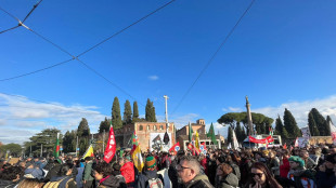 Corteo contro il ddl sicurezza a Roma, 'siamo 50 mila'