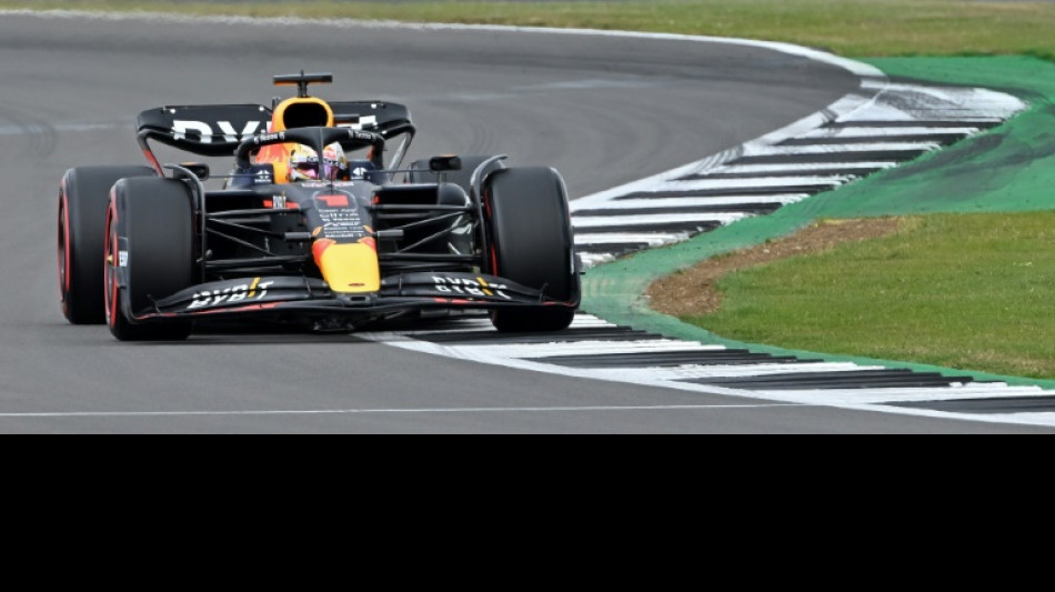Verstappen on top as Red Bull rule in final practice