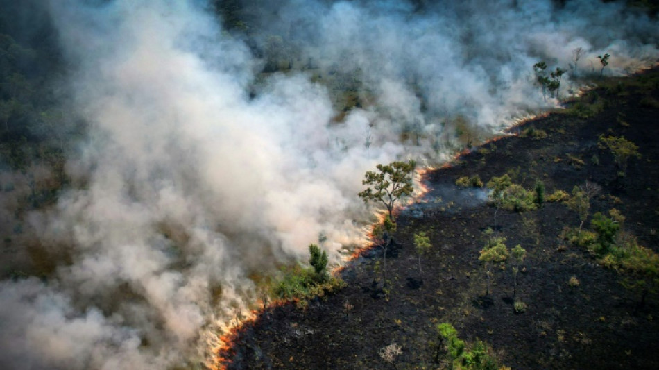 Brazilian Amazon records worst August for fires in 12 years