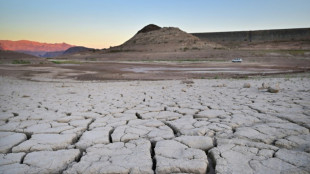 Climate change is speeding up, warns major UN report