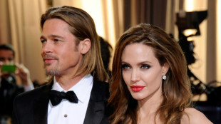 Angelina Jolie and Brad Pitt reach divorce settlement: report