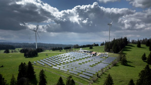 Les Suisses valident par un vote la loi accélérant le développement des énergies renouvelables