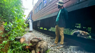 Sechs tote Elefanten bei Zugunglück in Sri Lanka - keine Menschen verletzt