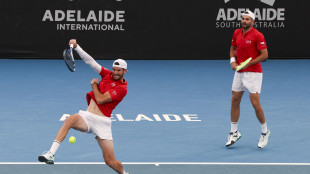 Tennis: Bolelli-Vavassori vincono il torneo Atp 250 di Adelaide