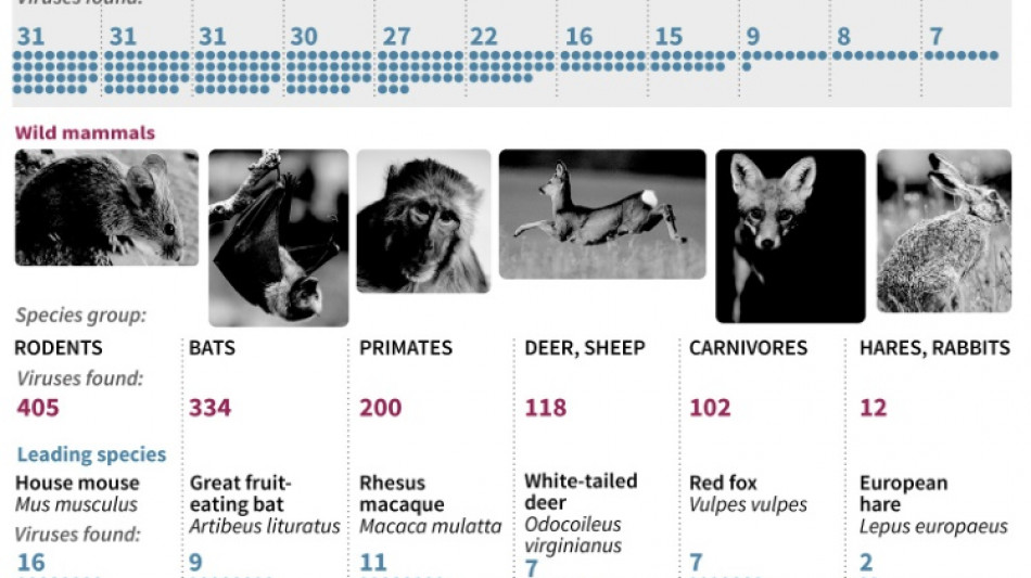 Why are animal-to-human diseases on the rise?