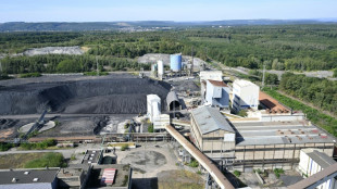 Centrale thermique de Saint-Avold: une loi pour assurer la conversion du site