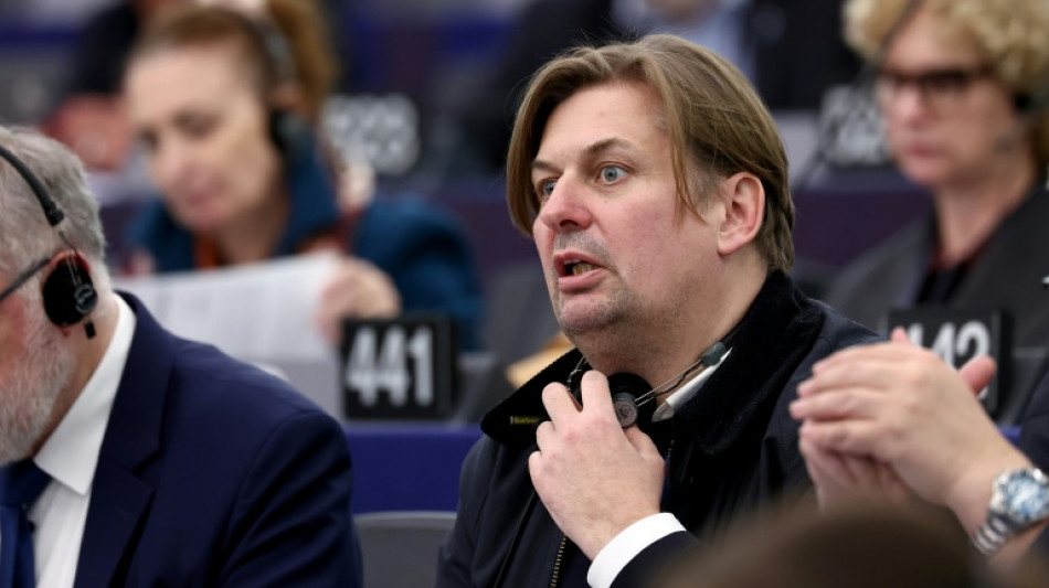 Le parti d'extrême droite allemand AfD mis sur la touche au Parlement européen